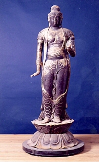 Nikkou bosatsu photo